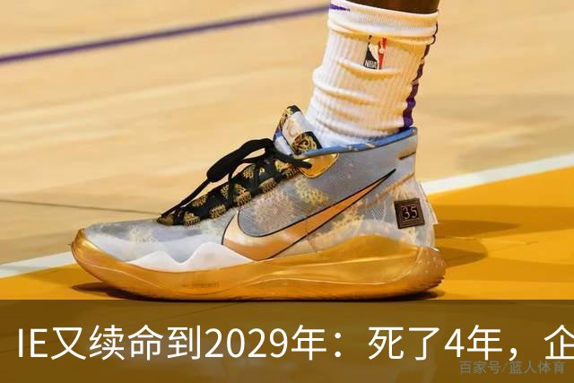 IE又续命到2029年：死了4年，企业还得靠它开老网站